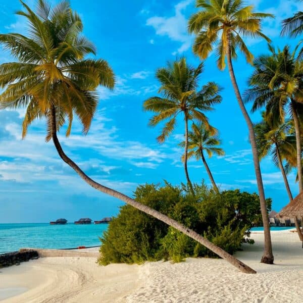 23 of the World’s Most Beautiful Beaches