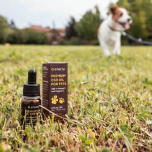Pet Paw Care Oil